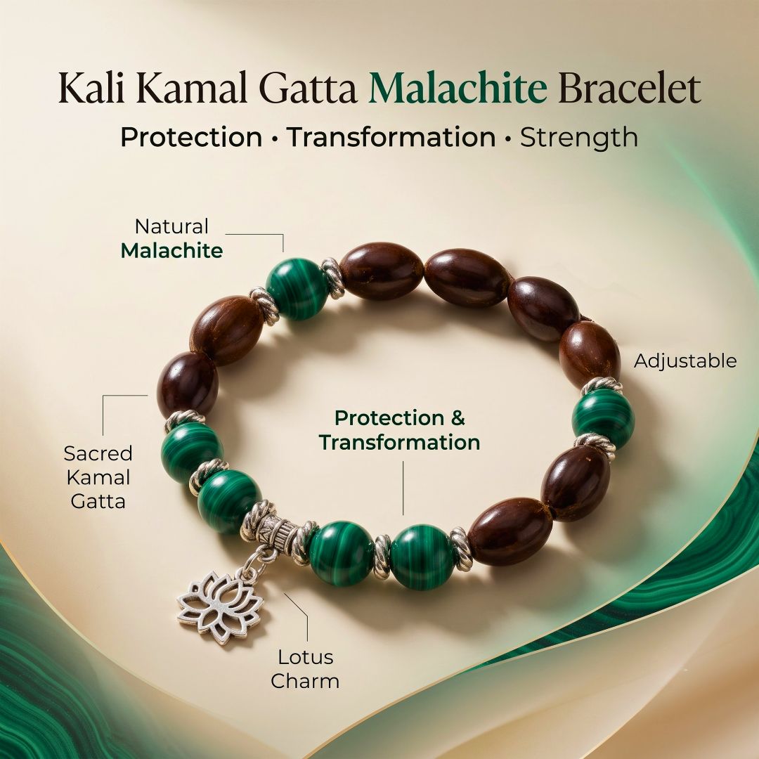 Kali Kamal Gatta Malachite Bracelet – Lotus Seed for Protection & Transformation — Crystals & Bracelets